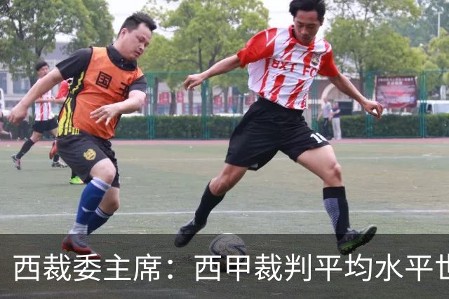 西裁委主席：西甲裁判平均水平世界最佳，误判难免